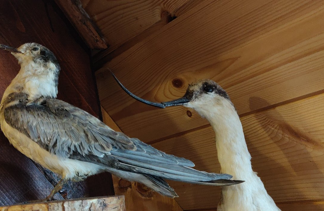 Moyon-Saint-Joachim必去景点