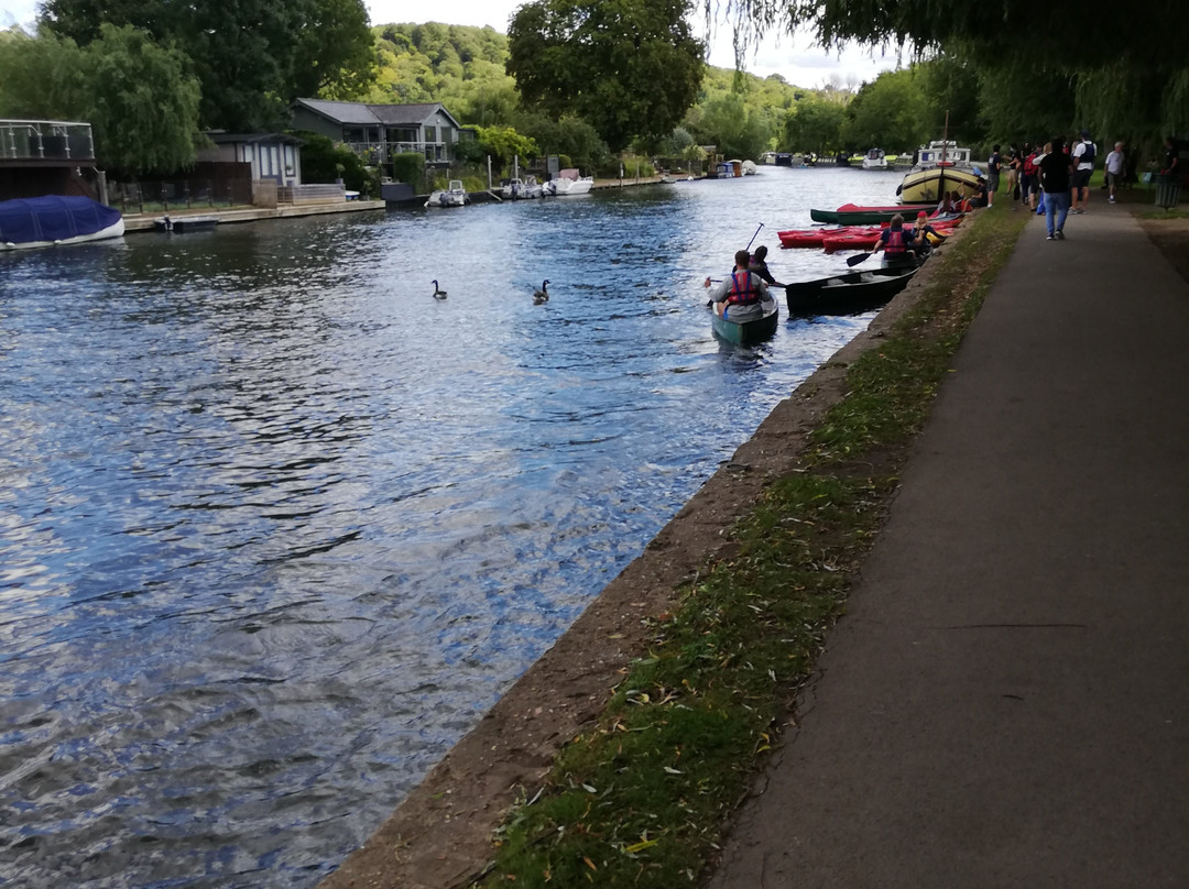 Henley Canoe Hire景点图片