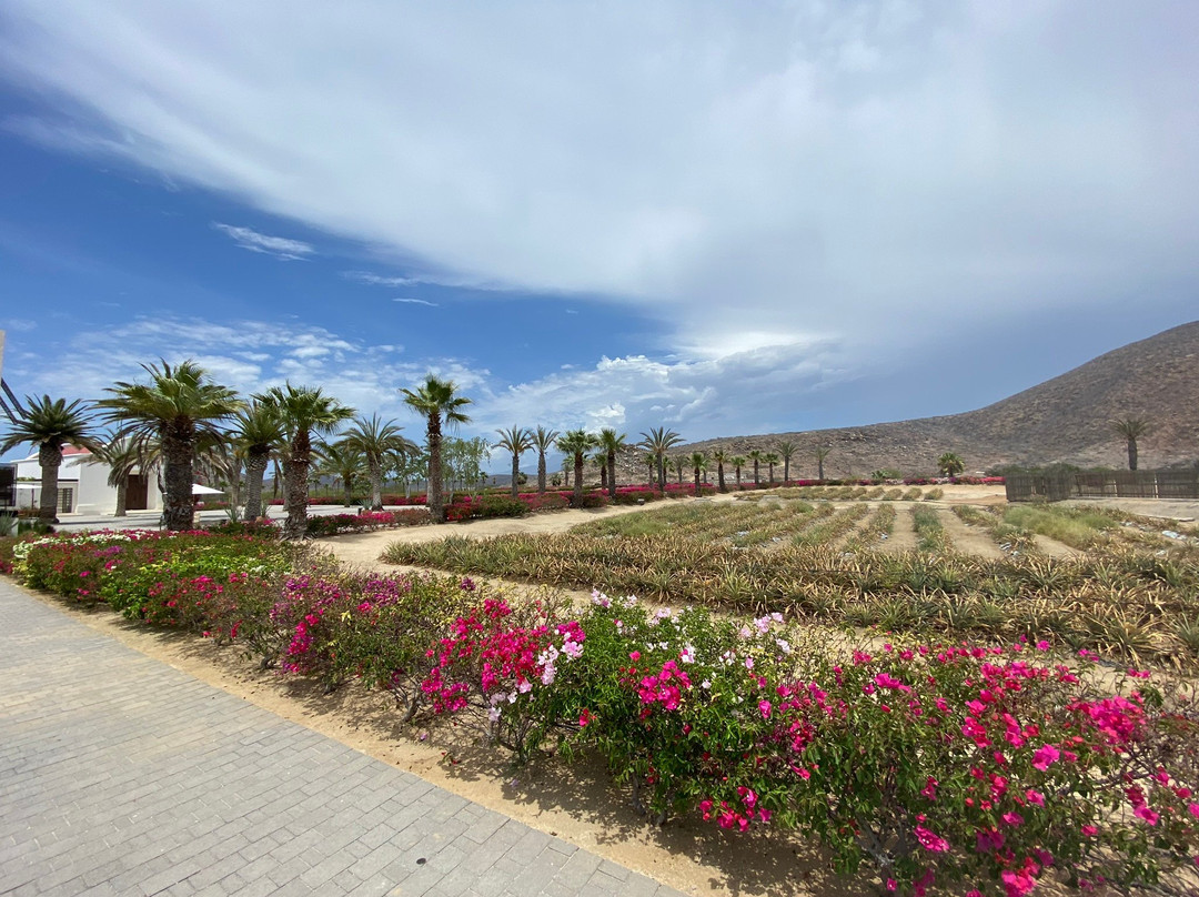 Hotel San Cristobal主图