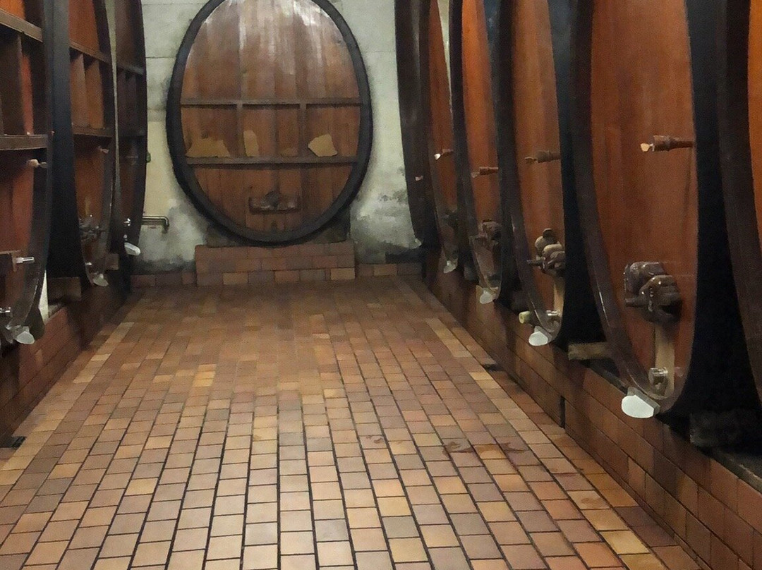 Domaine Riefle-Pfaffenheim必去景点
