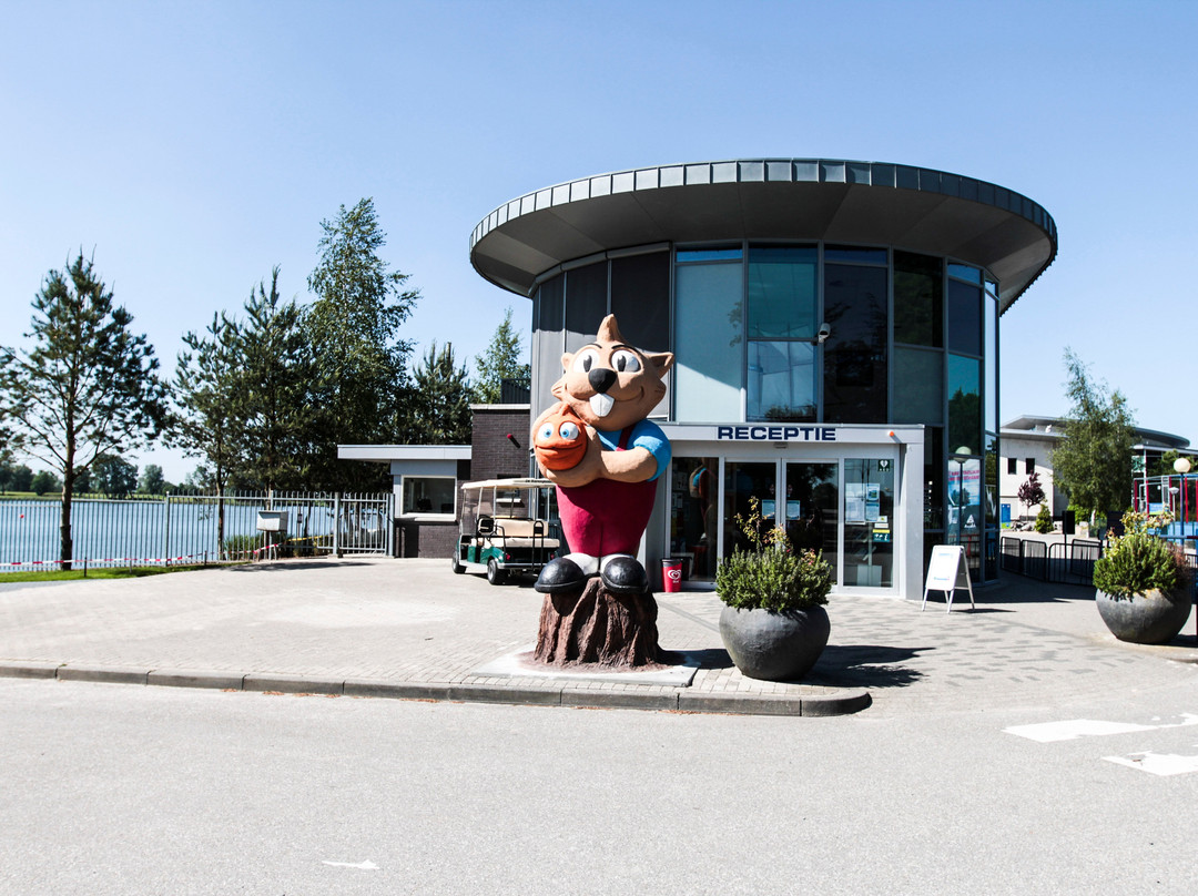 Hank旅游攻略图片