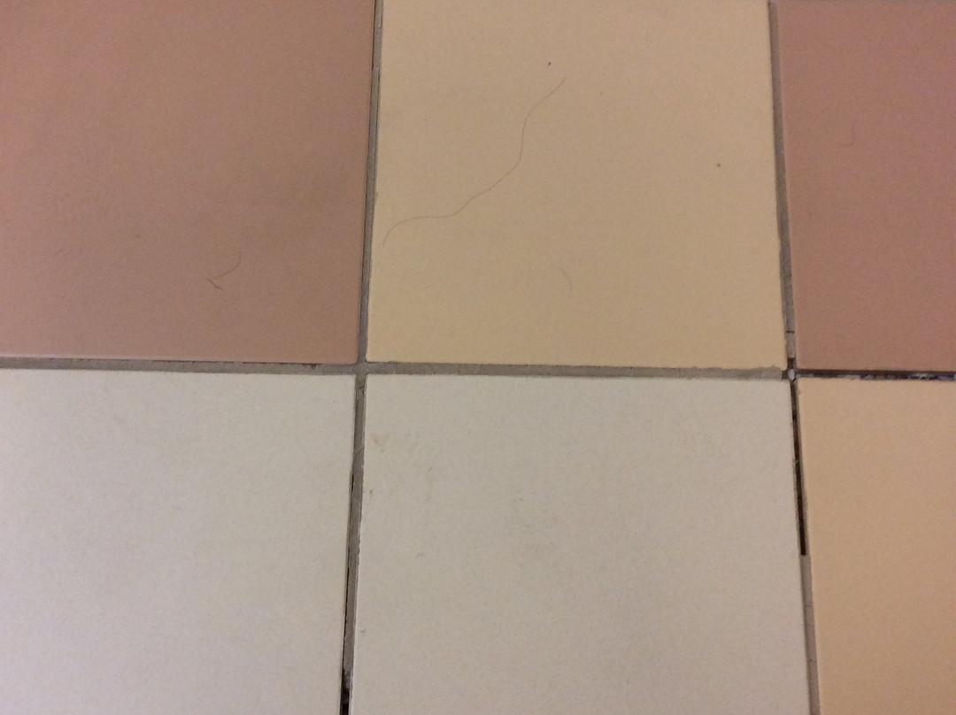 登顿费尔菲尔德旅馆&套房酒店主图