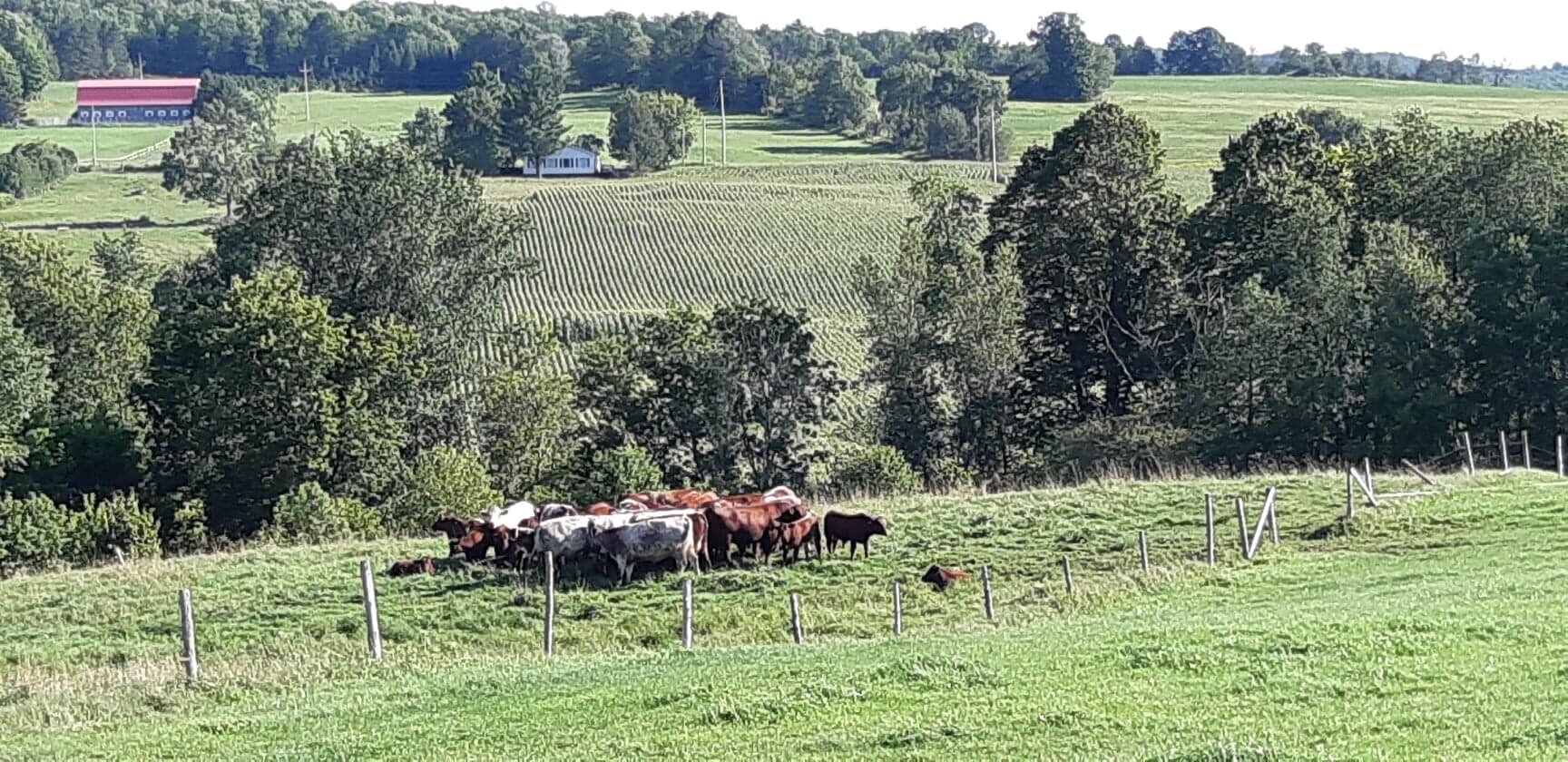 Auberge West Brome 050713-酒店景观