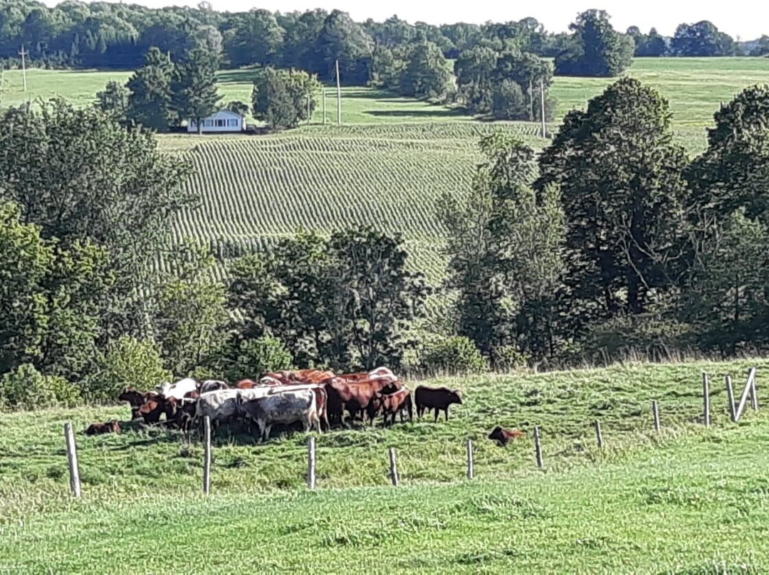 Auberge West Brome 050713主图