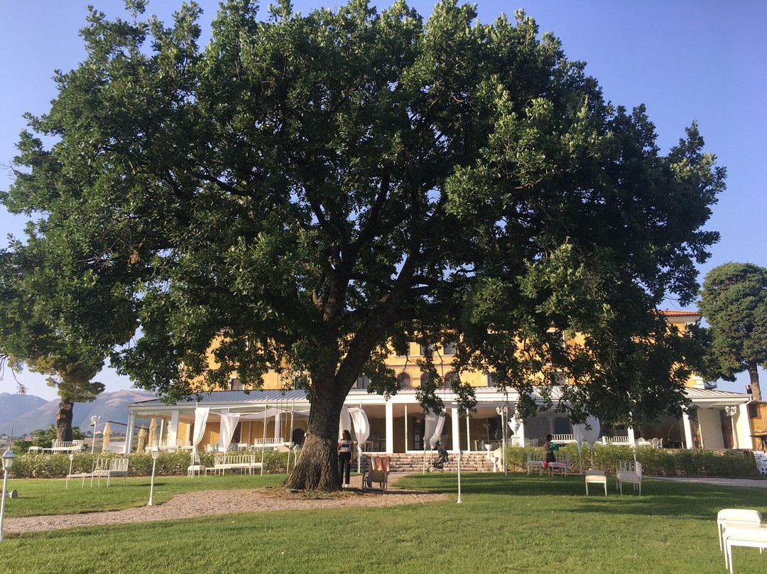 Eliceto Resort & SPA主图