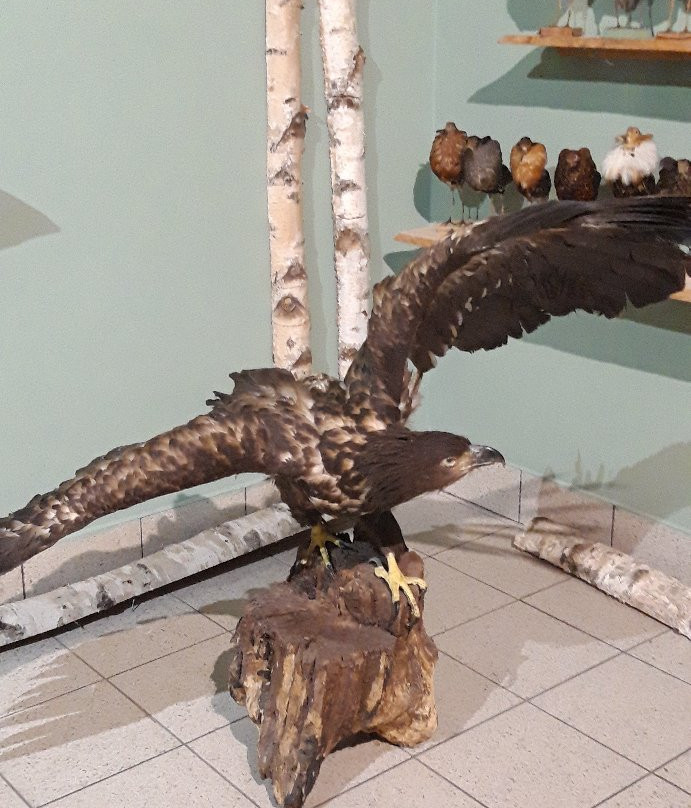Natural History Museum of Wolin National Park-缅济兹德罗耶必去景点