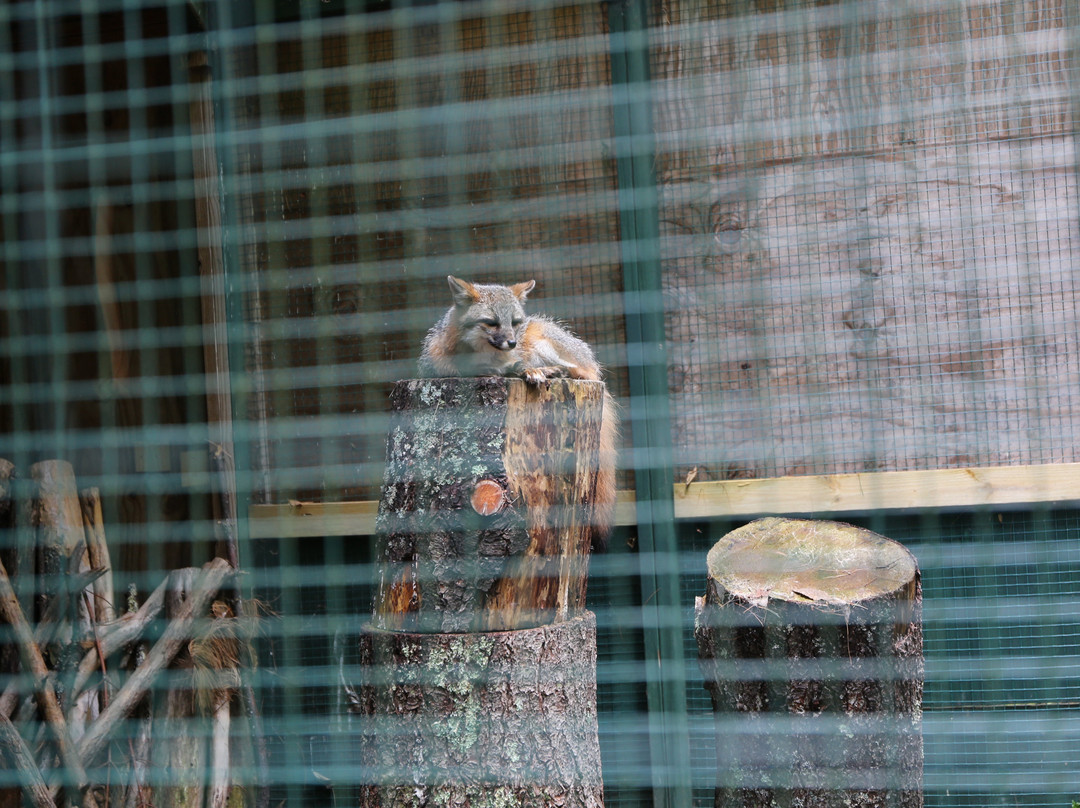 Adirondack Wildlife Refuge-Wilmington必去景点