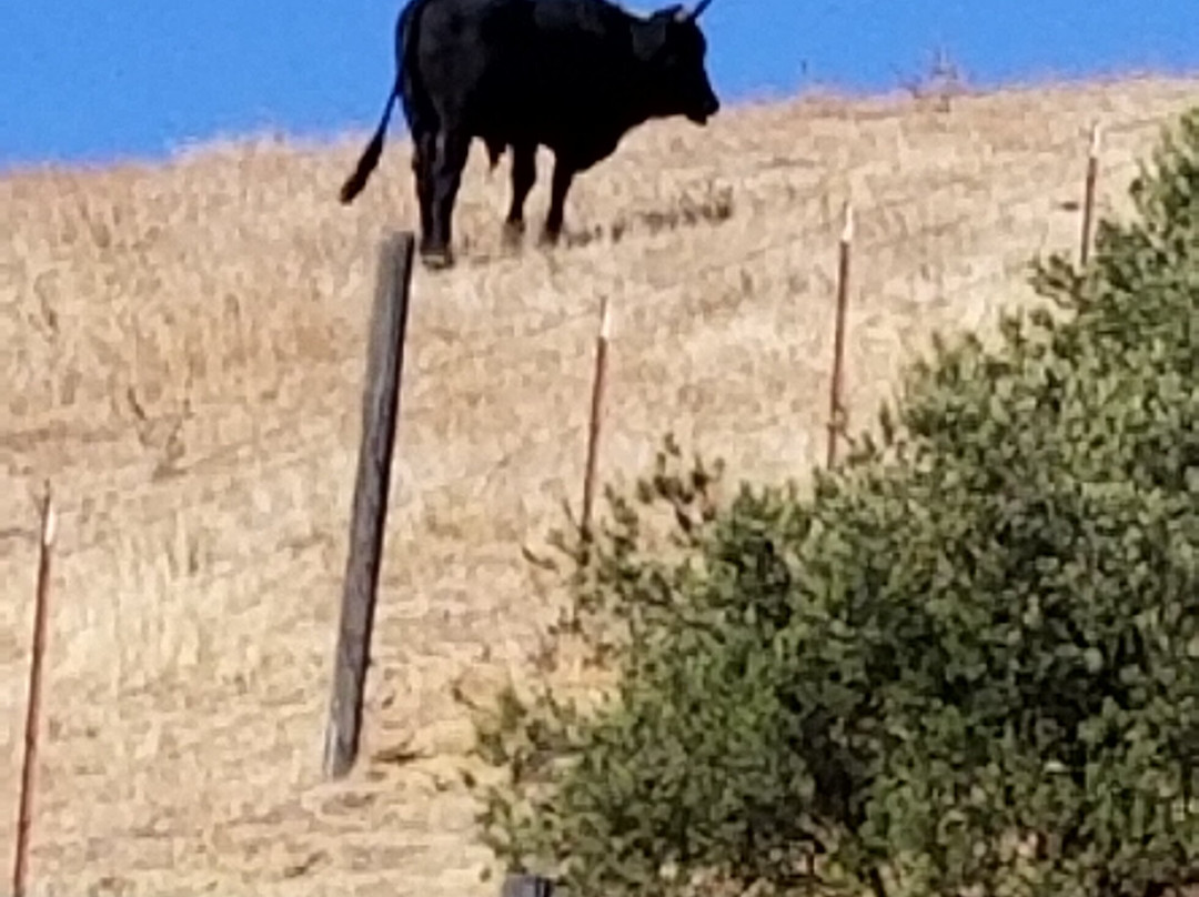 The Eden House Vineyard主图