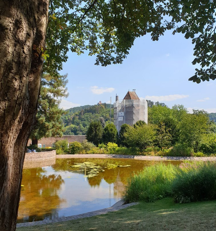 Exotenwald Weinheim-魏因海姆必去景点