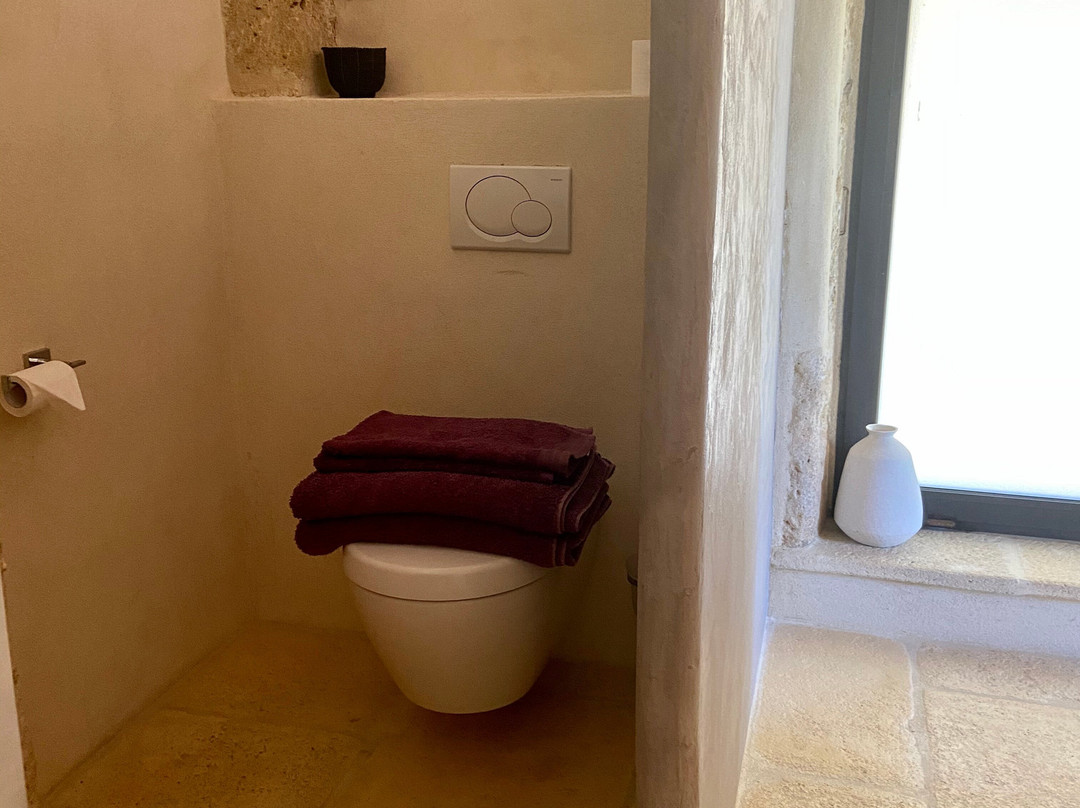 Mas d'Augustine主图