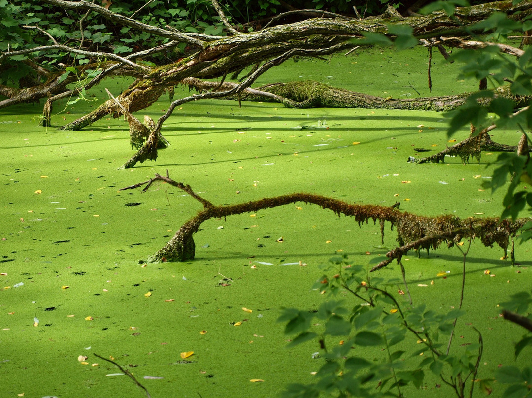 Potato Creek State Park-North Liberty必去景点