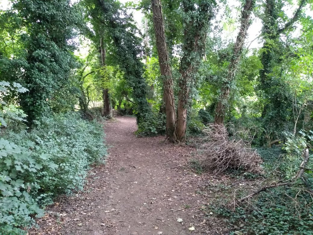 Brockadale Nature Reserve景点图片
