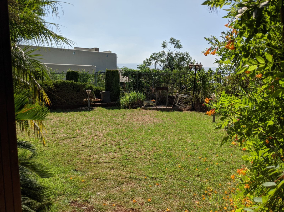 Greek Relaxation主图