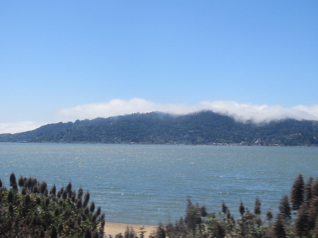 Shoreline Park景点图片