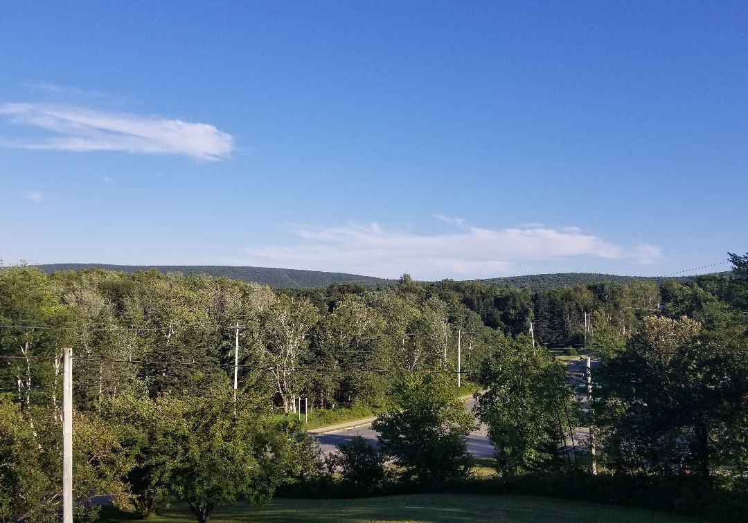 The Island Inn主图