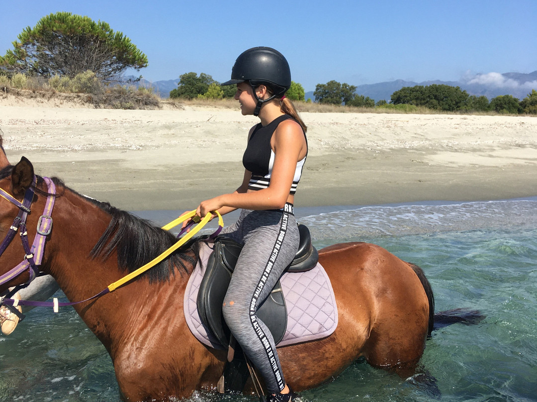 Aux Poneys d Eden-Canale-di-Verde必去景点