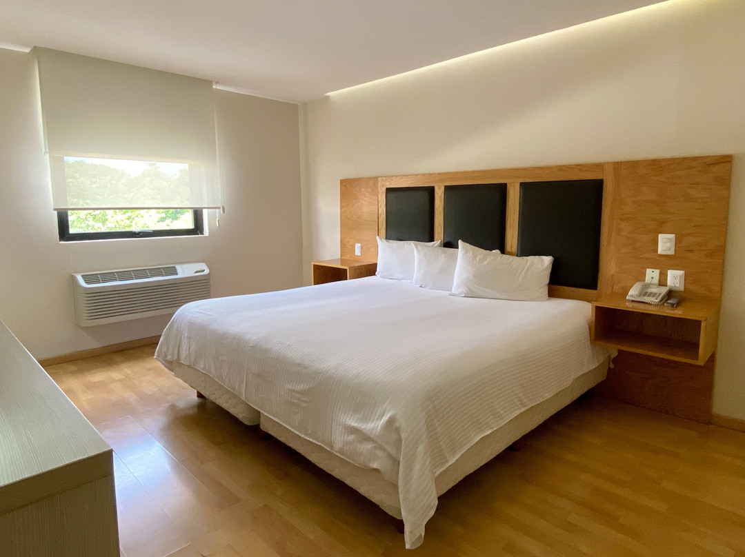 Paris FC Express主图