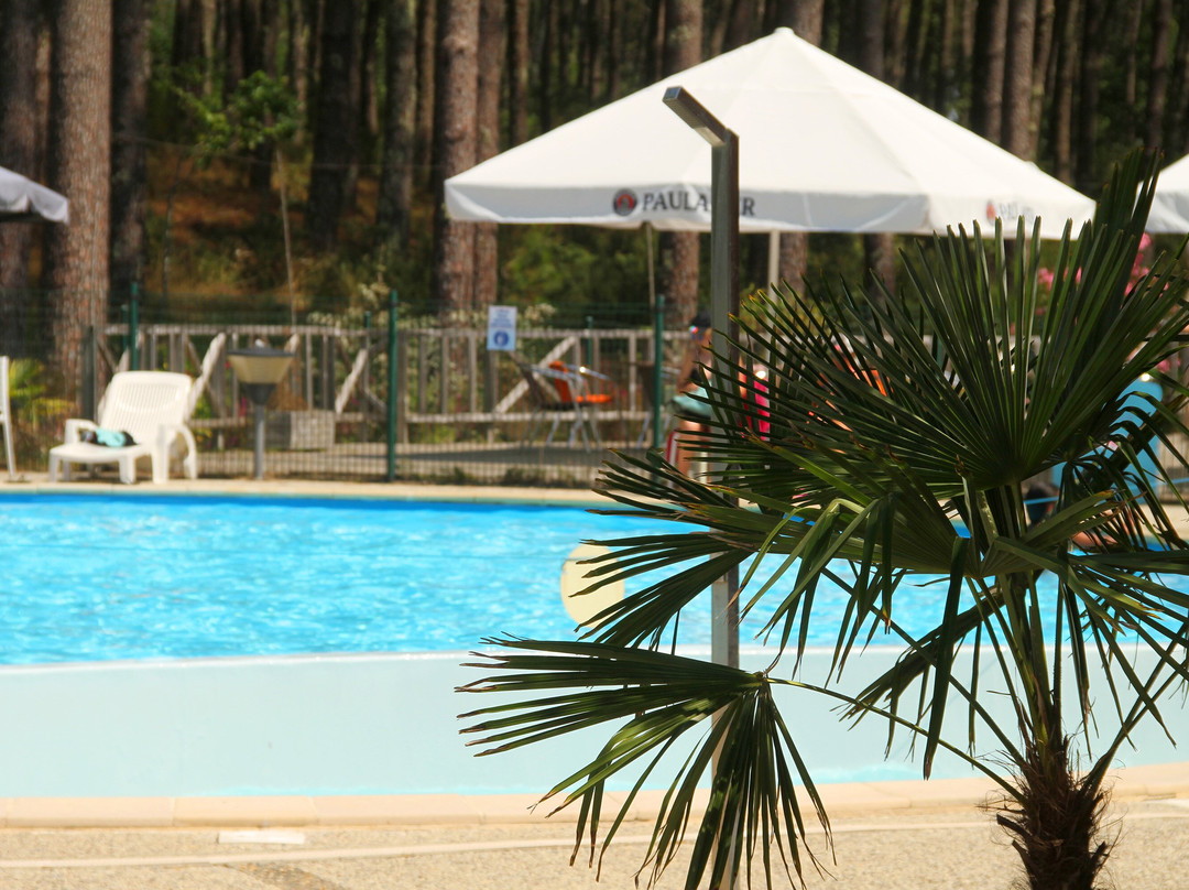 Le village des Pins d'Or主图