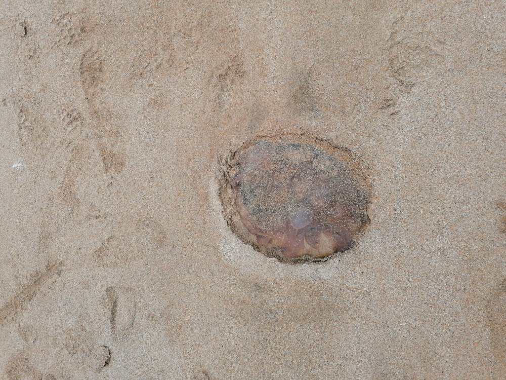 Fintra Beach-Killybegs必去景点