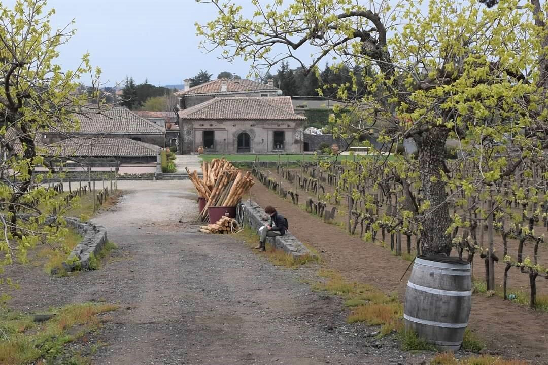 Benanti Winery景点图片