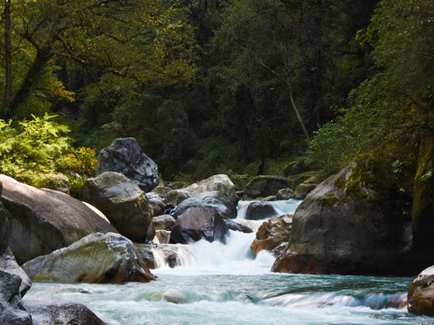 Tek Singh- Trek with Tek-Gushaini必去景点