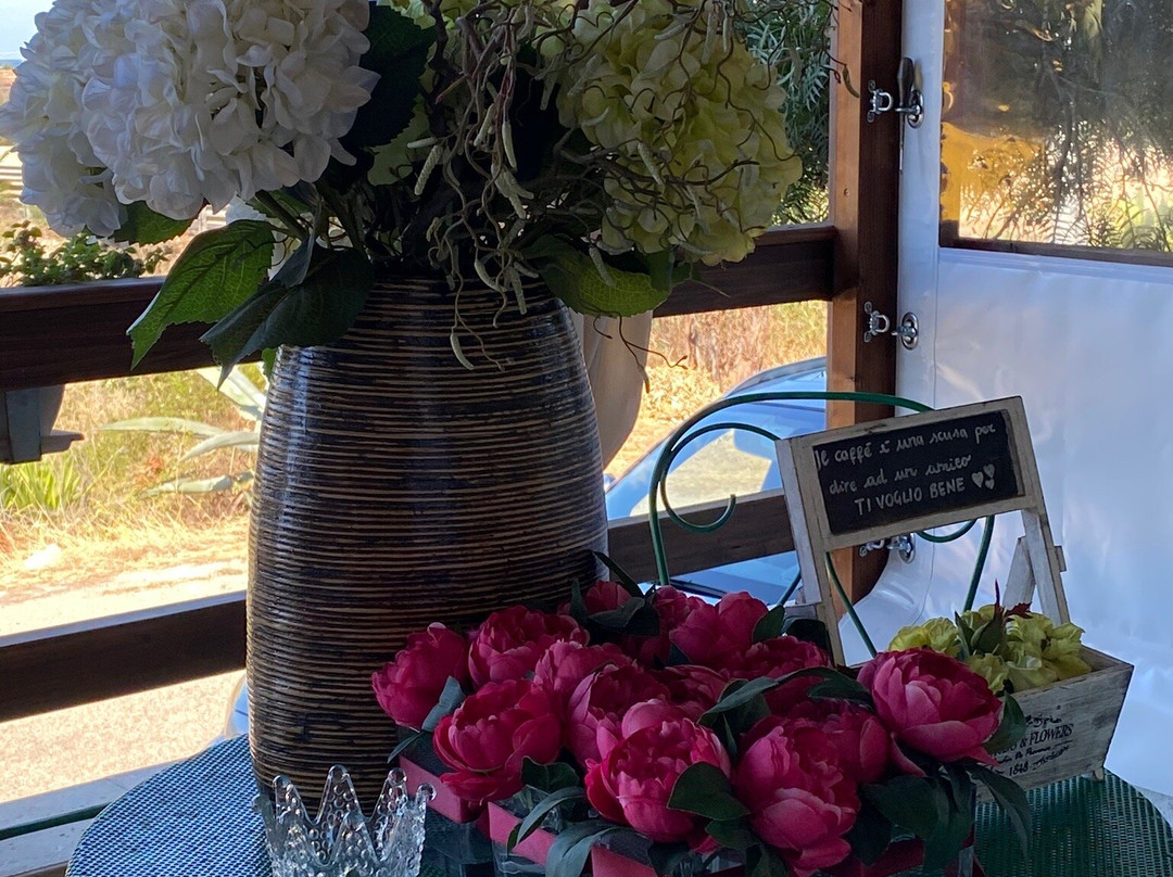 B&B Cinque Stelle Salento主图