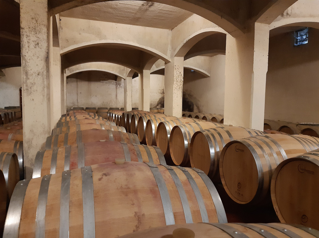 CHÂTEAU LA TUILERIE DU PUY景点图片