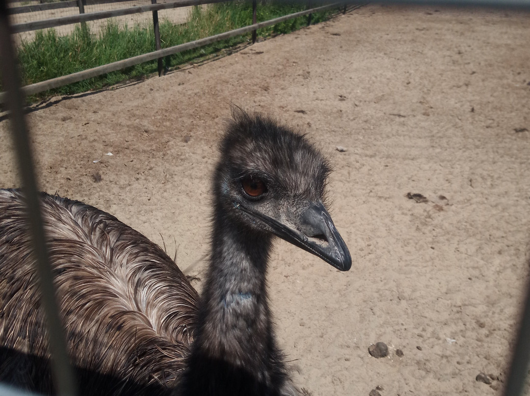 Eco Complex Kazeyevka-Kazeyevka必去景点