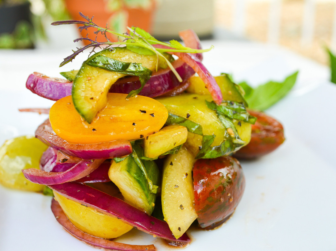 VistaVino Modern Grill