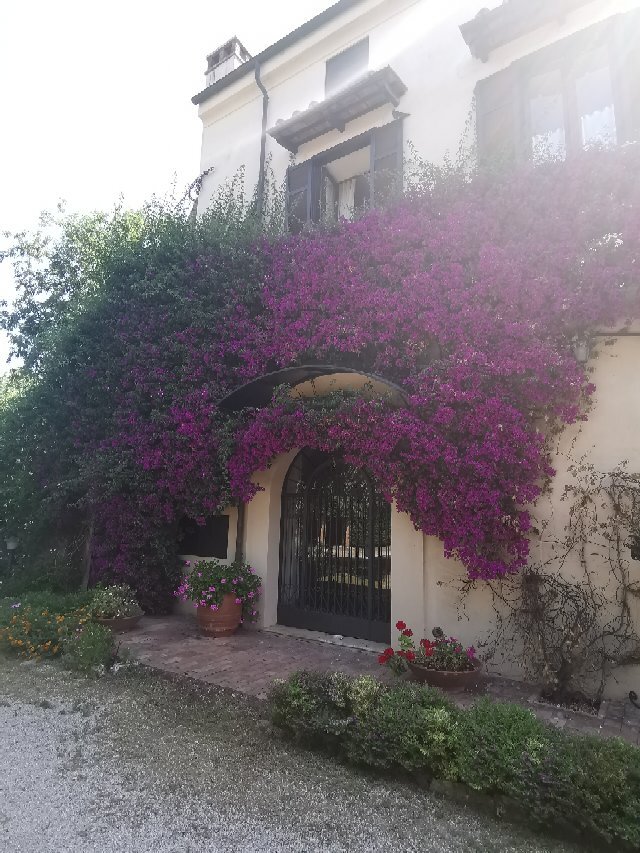 Il Granaio dei Casabella-官方
