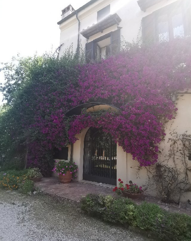Il Granaio dei Casabella主图