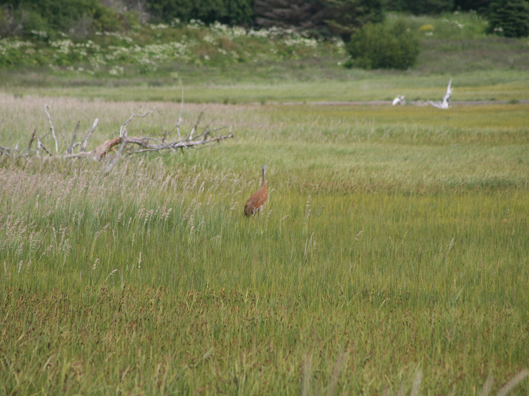 Bishop's Beach Park-荷马必去景点