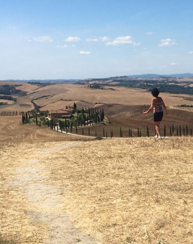Cantinetta di Monteriggioni景点图片