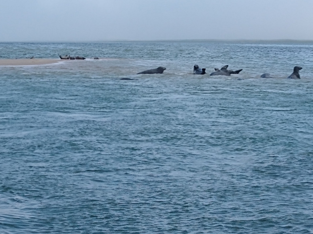 Beachcomber Tours-查塔姆必去景点