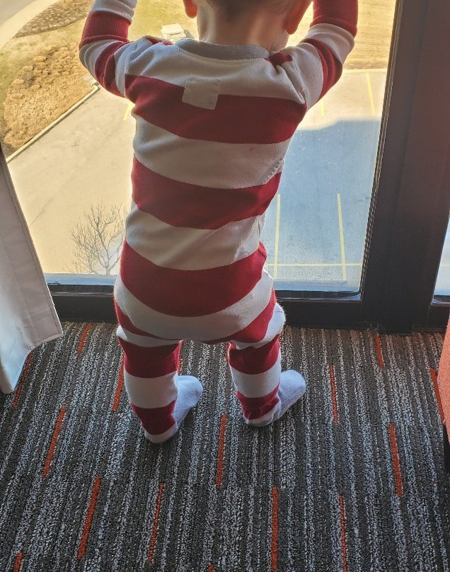 Drury Plaza Hotel St. Louis Creve Coeur主图