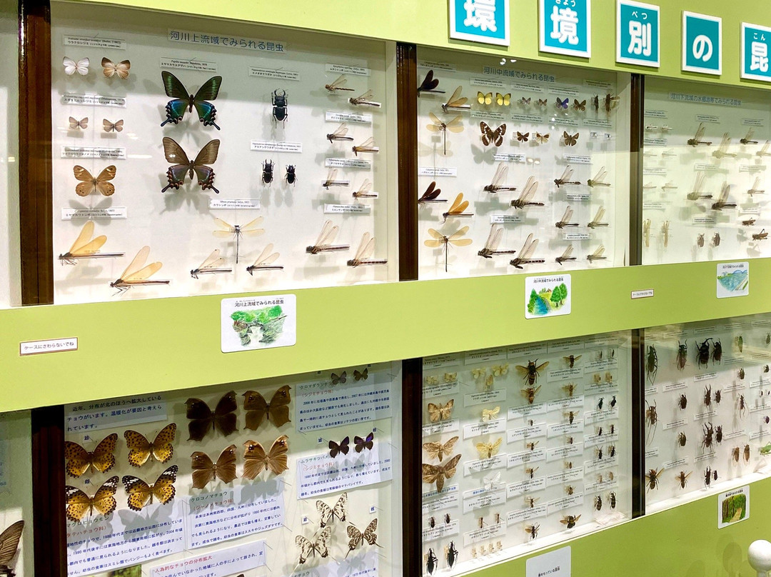 Tamarokuto Science Center-西东京市必去景点