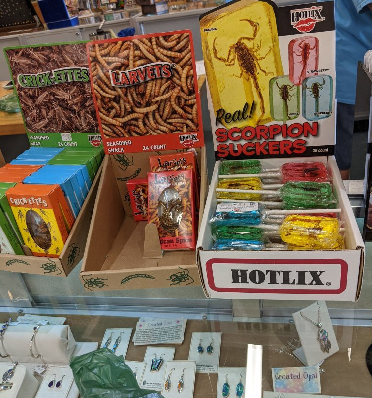 Fort Cody Trading Post-北普拉特必去景点