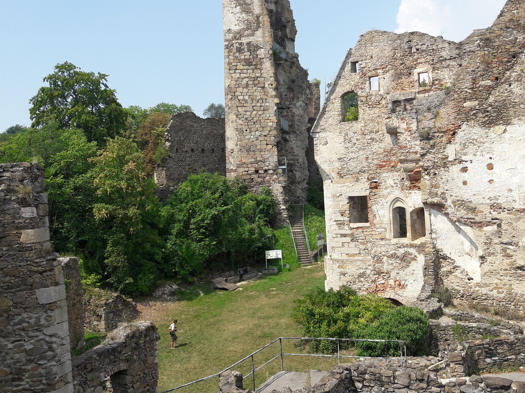 Burgruine Schaunberg景点图片