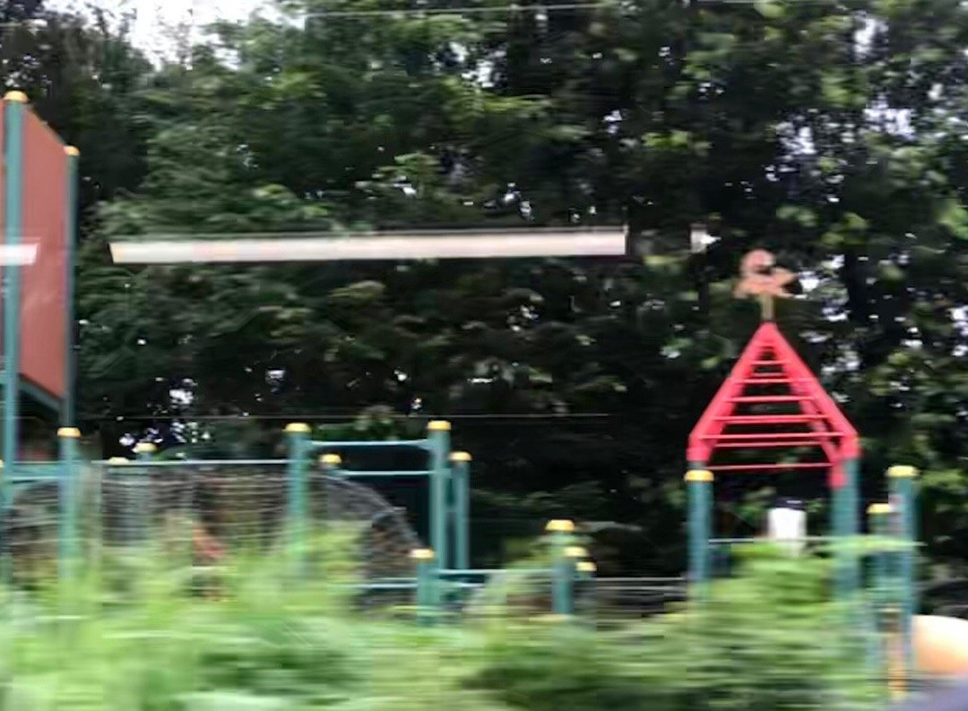 Tamagawajosui Ryokuchi Nikkobashi Park-福生市必去景点