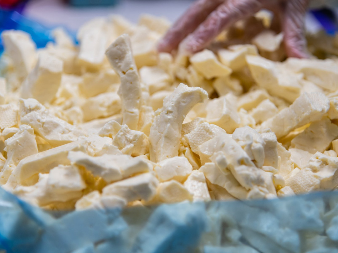 1000 Islands River Rat Cheese-Clayton必去景点