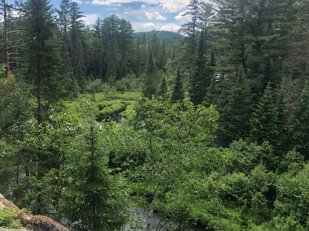 Two Rivers Trail-阿冈昆公园必去景点