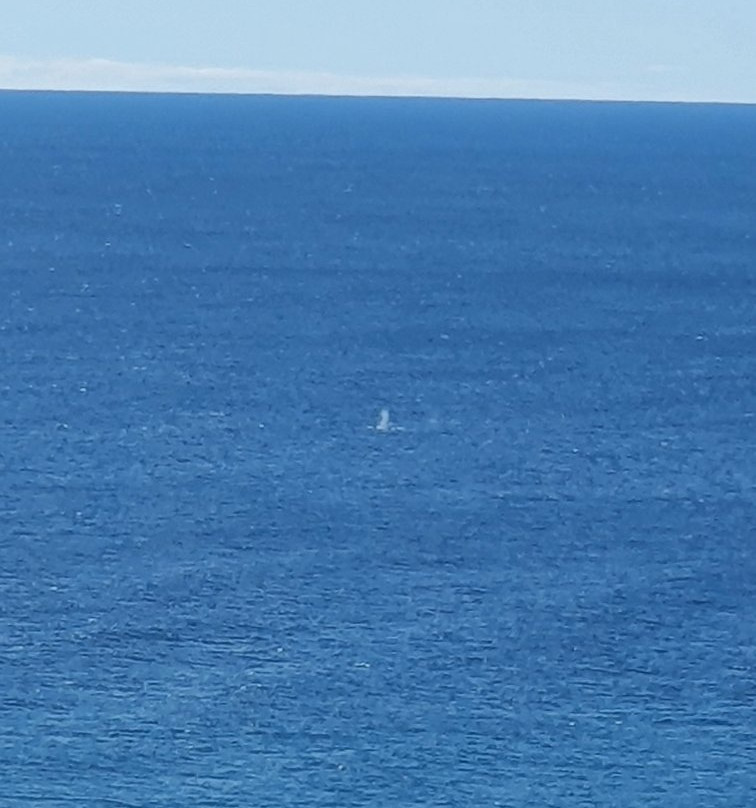 Cape Byron State Conservation Area景点图片
