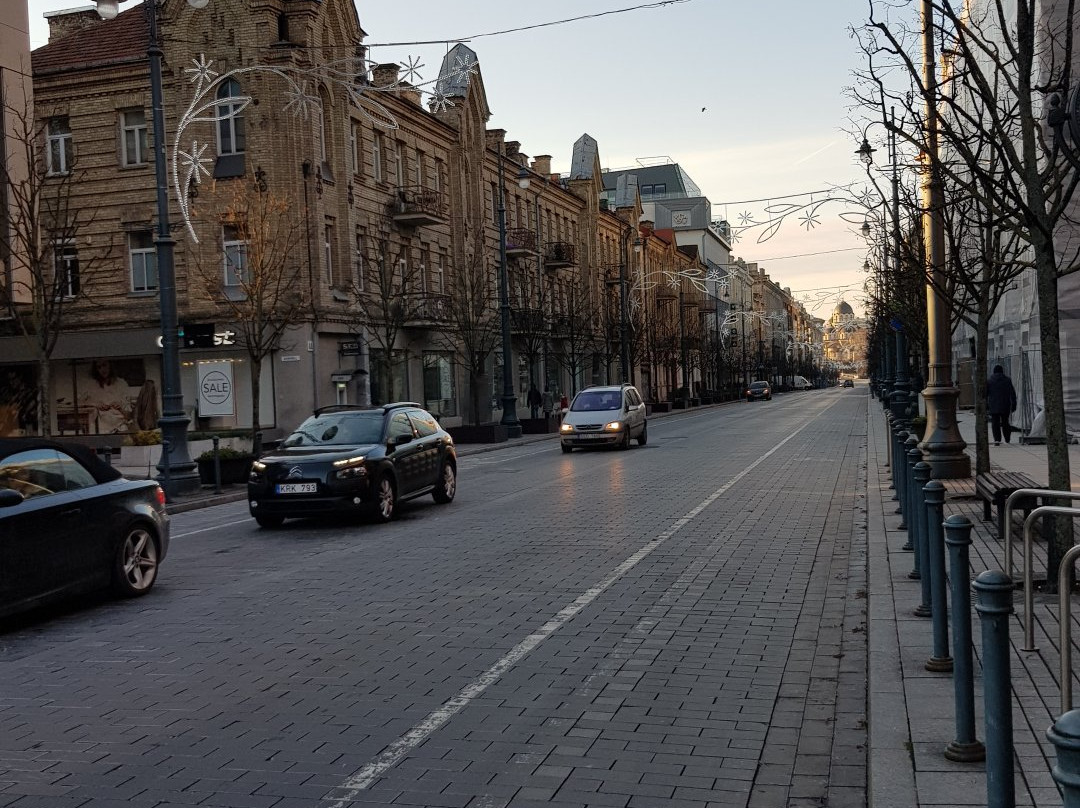 Gediminas Avenue-维尔纽斯必去景点