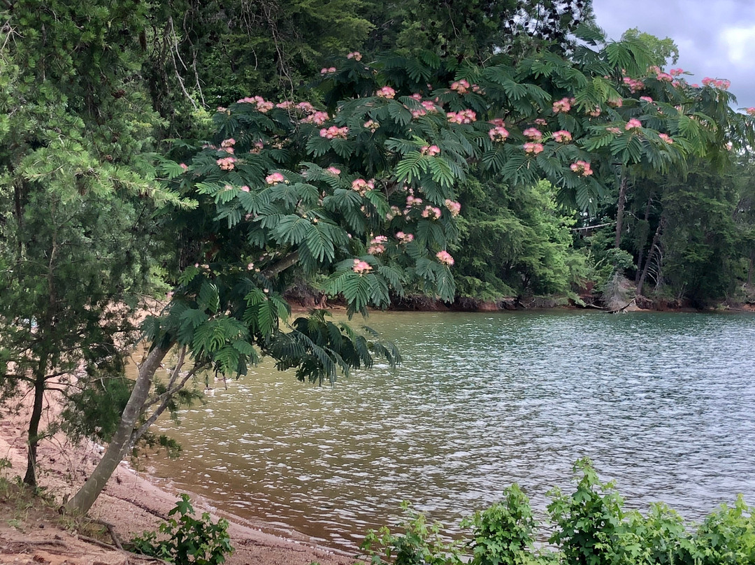 Mary Alice Park-卡明必去景点