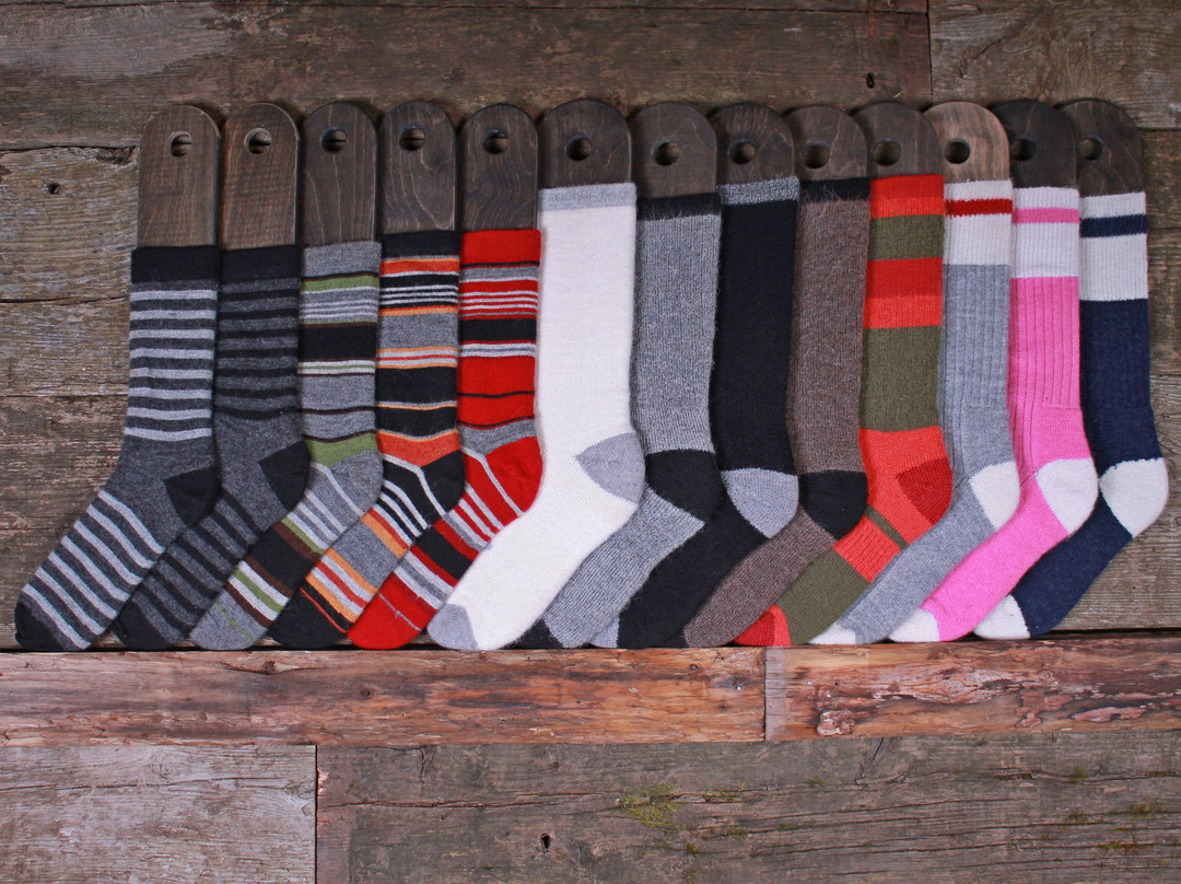 Domaine des Nobles Alpagas-Lac-Brome必去景点