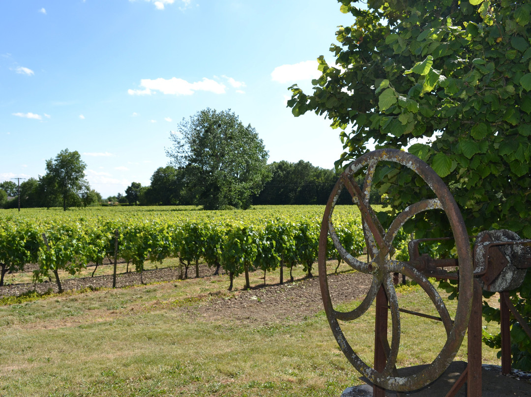 Les Raisins de L'Abbaye-Asnieres-la-Giraud必去景点