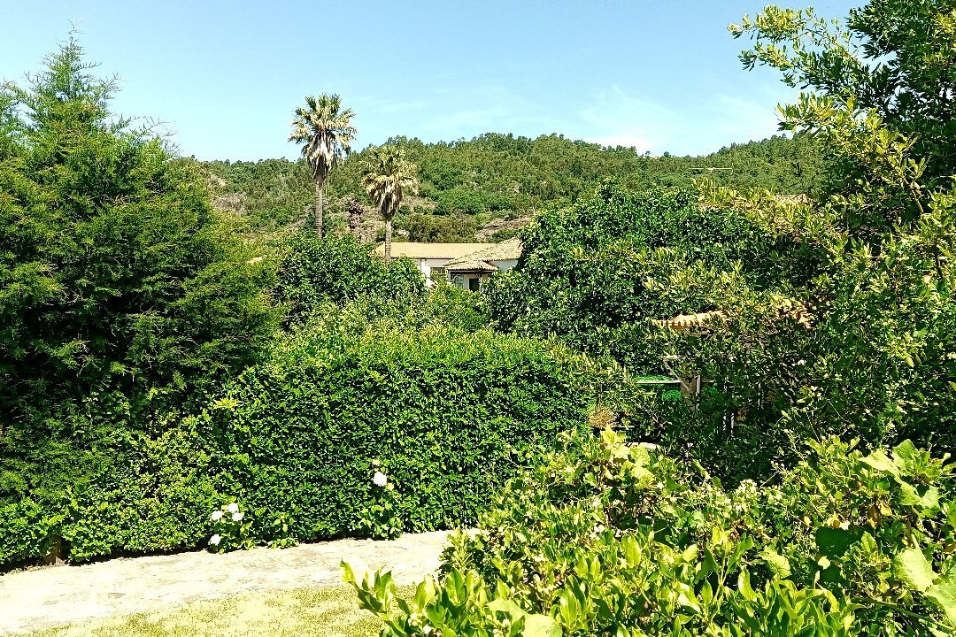 Pero Viseu旅游攻略图片