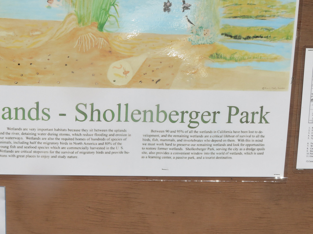 Shollenberger Park景点图片