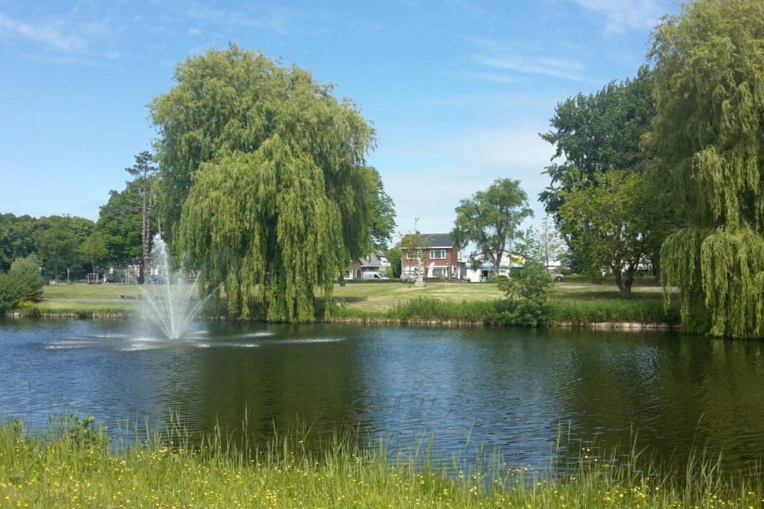 Kinderboerderij De Boerenzwaluw景点图片