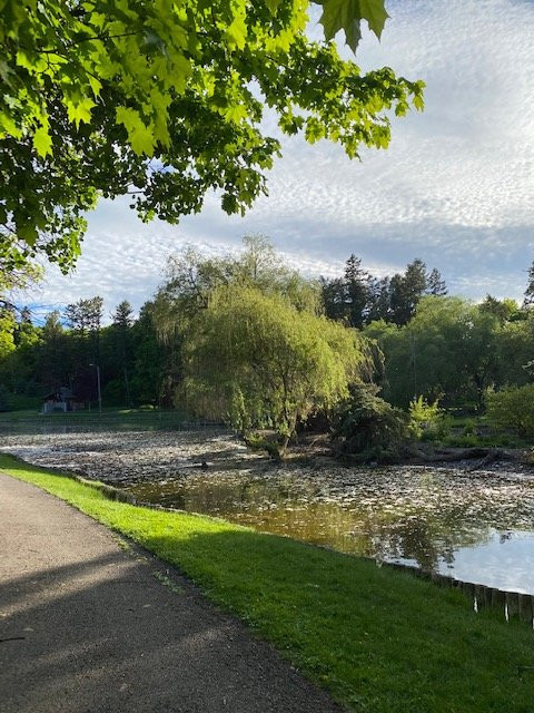 Woodland Water Park-卡利斯佩尔必去景点